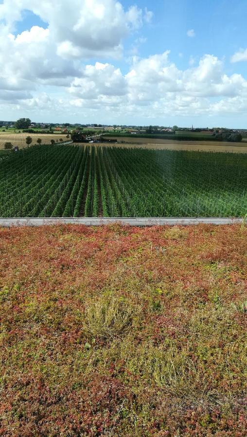 Monts Et Merveilles Godewaersvelde Exterior photo